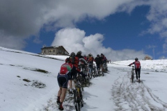 VALDIFASSA (1088)