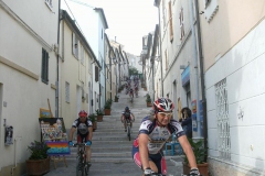 2012-CONERO-1010