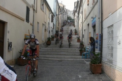 2012-CONERO-1013
