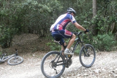 2012-CONERO-1128