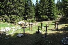 CIMBRI-1071