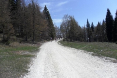 CIMBRI-1078