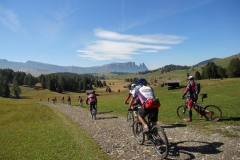 2012-VALGARDENA-1058