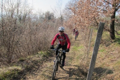 BARDOLINO13-1008