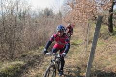 BARDOLINO13-1009