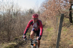 BARDOLINO13-1010