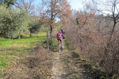 BARDOLINO13-1011
