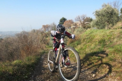 BARDOLINO13-1012