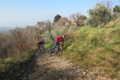 BARDOLINO13-1013