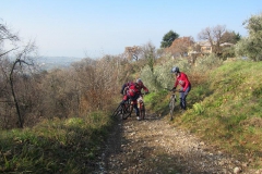 BARDOLINO13-1014