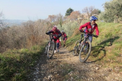 BARDOLINO13-1015