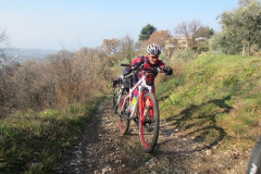 BARDOLINO13-1016
