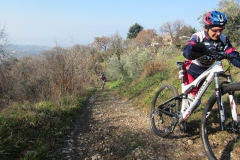 BARDOLINO13-1017
