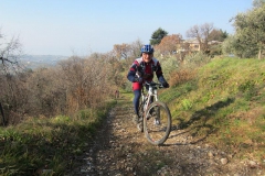 BARDOLINO13-1018