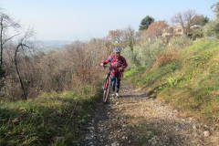 BARDOLINO13-1019