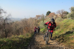 BARDOLINO13-1020