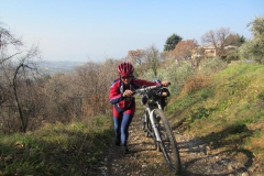 BARDOLINO13-1021