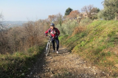 BARDOLINO13-1022