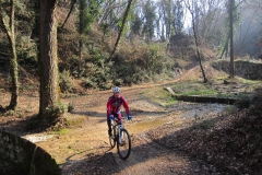 BARDOLINO13-1030