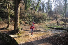 BARDOLINO13-1031