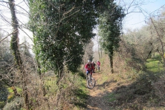 BARDOLINO13-1035