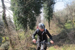 BARDOLINO13-1037