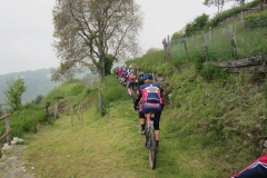 CONTRADE2013-1020