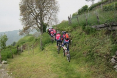 CONTRADE2013-1021