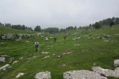 CONTRADE2013-1086