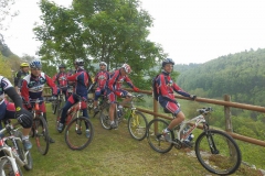CONTRADE2013-1102