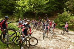 CONTRADE2013-1107