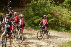 CONTRADE2013-1109