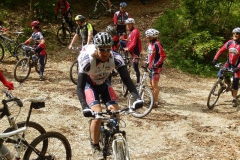 CONTRADE2013-1111
