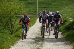 CONTRADE2013-1113