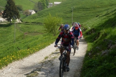 CONTRADE2013-1115