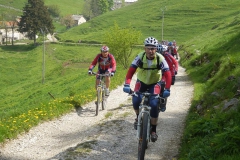 CONTRADE2013-1116