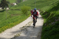 CONTRADE2013-1117
