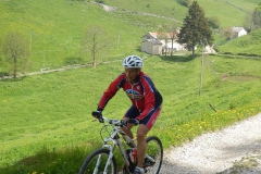CONTRADE2013-1118