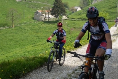 CONTRADE2013-1119