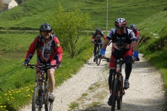 CONTRADE2013-1122