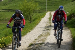 CONTRADE2013-1123