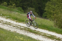 CONTRADE2013-1125