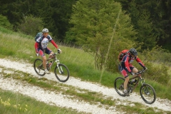 CONTRADE2013-1126