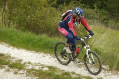 CONTRADE2013-1127