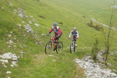 CONTRADE2013-1129