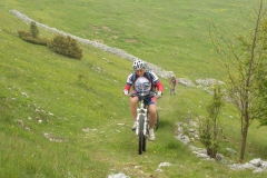 CONTRADE2013-1130