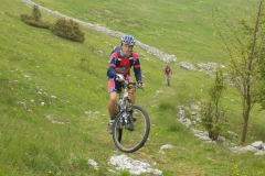 CONTRADE2013-1131