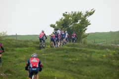 CONTRADE2013-1132