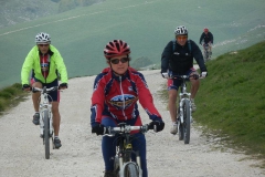 CONTRADE2013-1138
