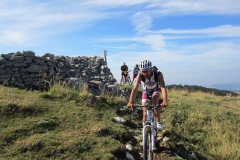 LESSINIA2013-1009